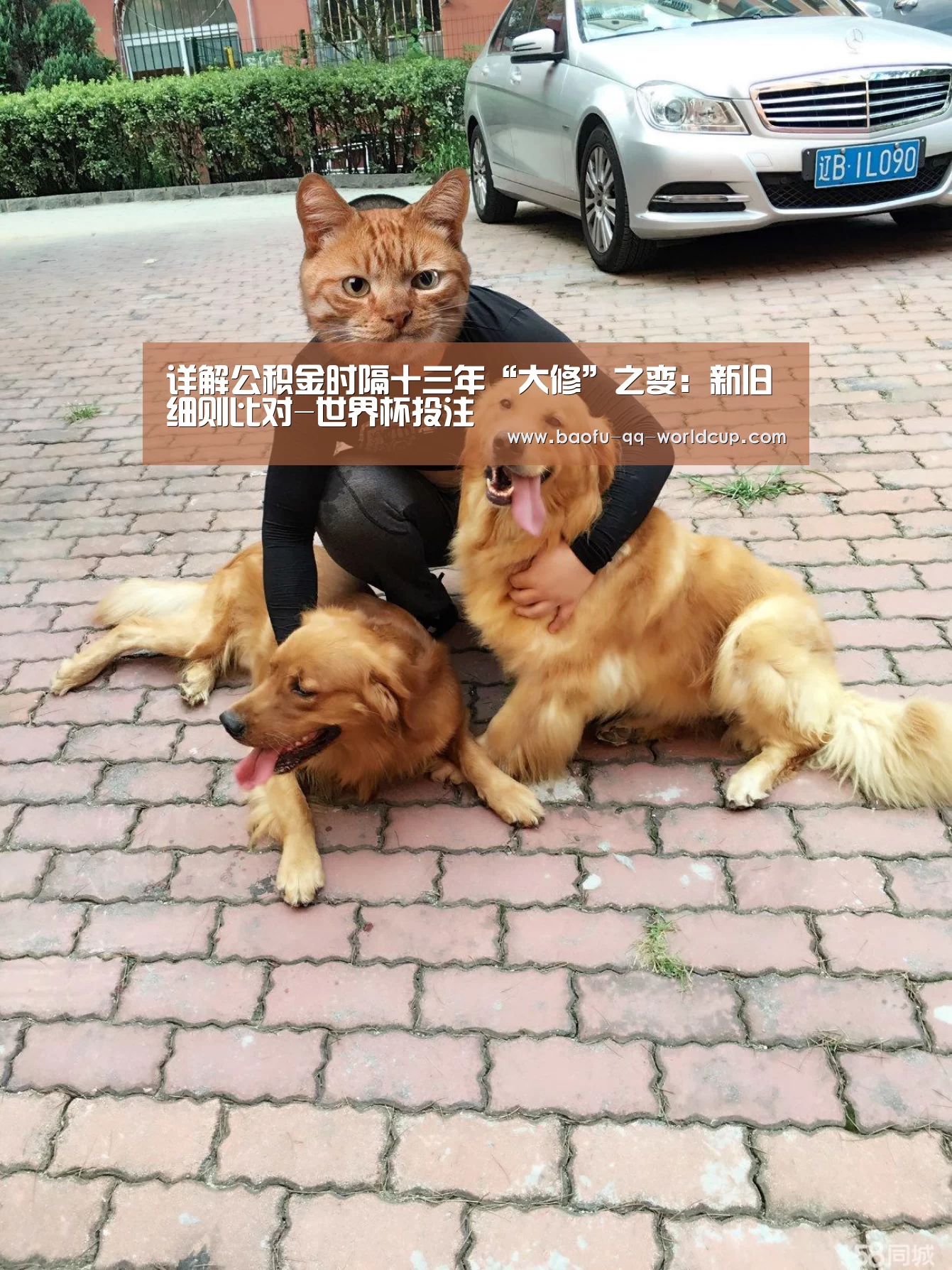 世界杯买球网站