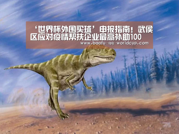 世界杯投注