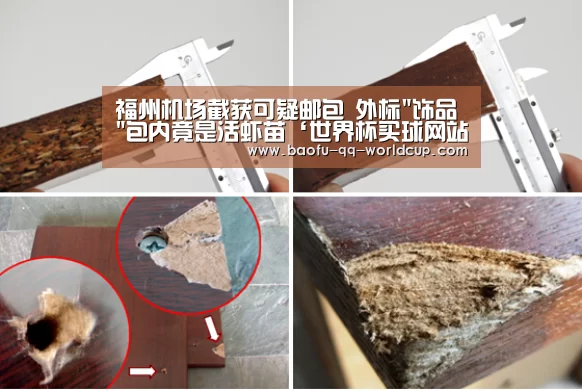 世界杯投注