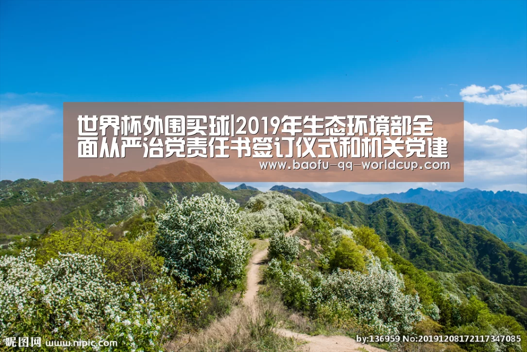 世界杯买球网站