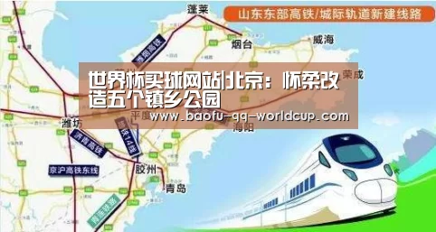 世界杯买球网站