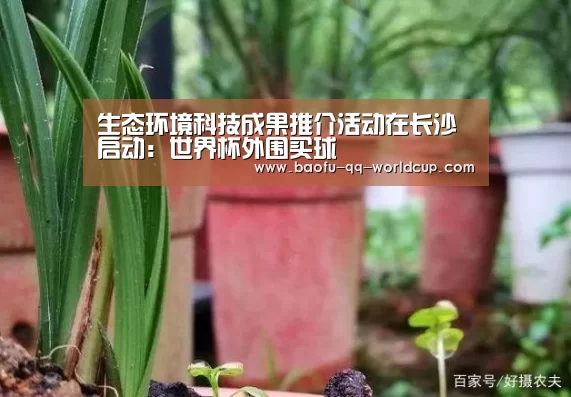 世界杯投注
