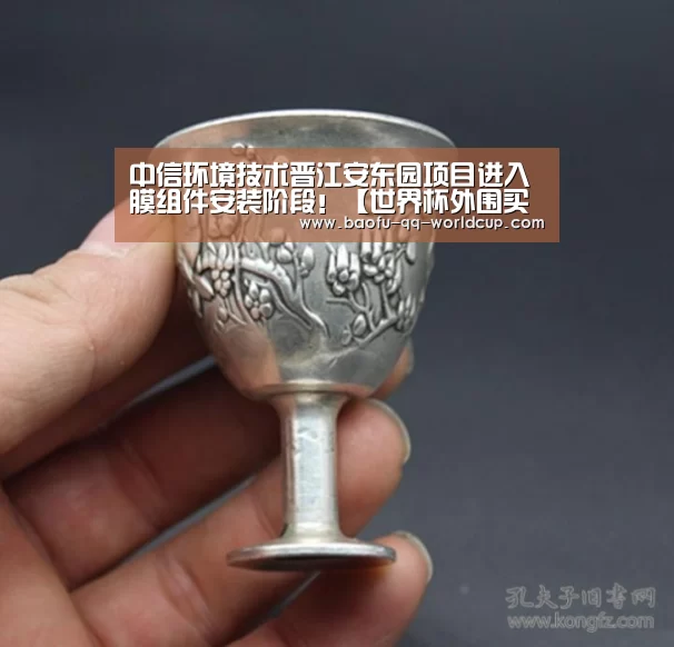 世界杯外围买球