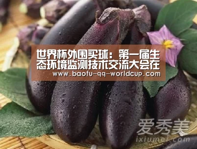 世界杯外围买球