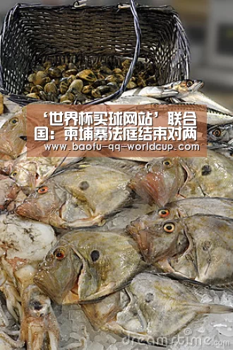 世界杯买球网站