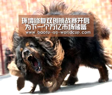 环境修复双创挑战赛开启 为下一个万亿市场储备新生力:世界杯买球网站(图1) 世界杯买球网站