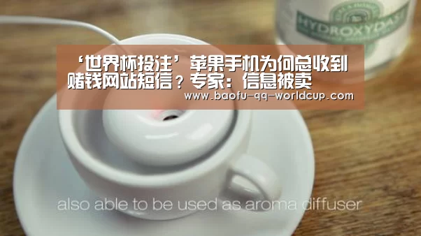 世界杯买球网站